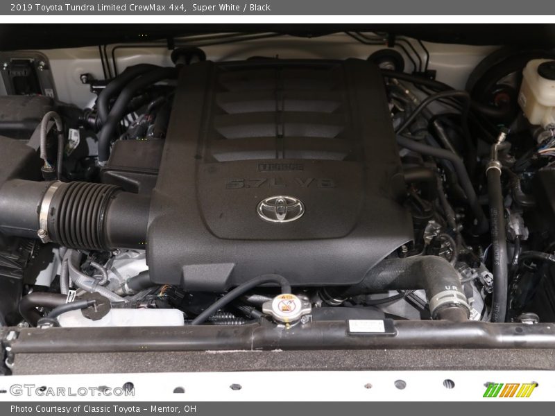 Super White / Black 2019 Toyota Tundra Limited CrewMax 4x4