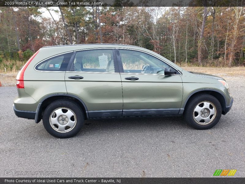 Green Tea Metallic / Ivory 2009 Honda CR-V LX 4WD