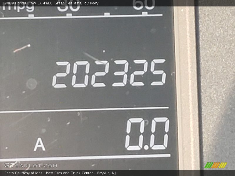 Green Tea Metallic / Ivory 2009 Honda CR-V LX 4WD