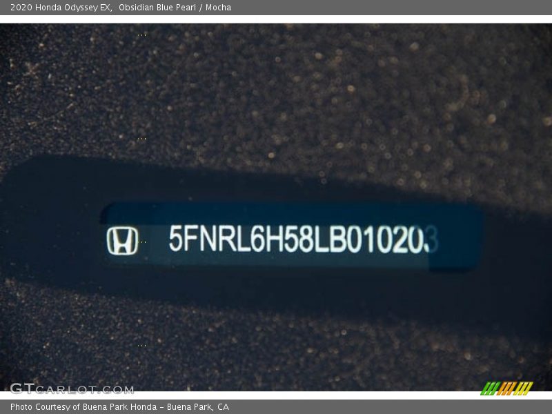 Obsidian Blue Pearl / Mocha 2020 Honda Odyssey EX