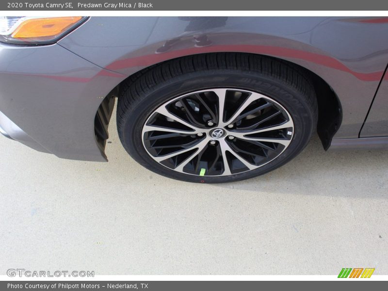 Predawn Gray Mica / Black 2020 Toyota Camry SE