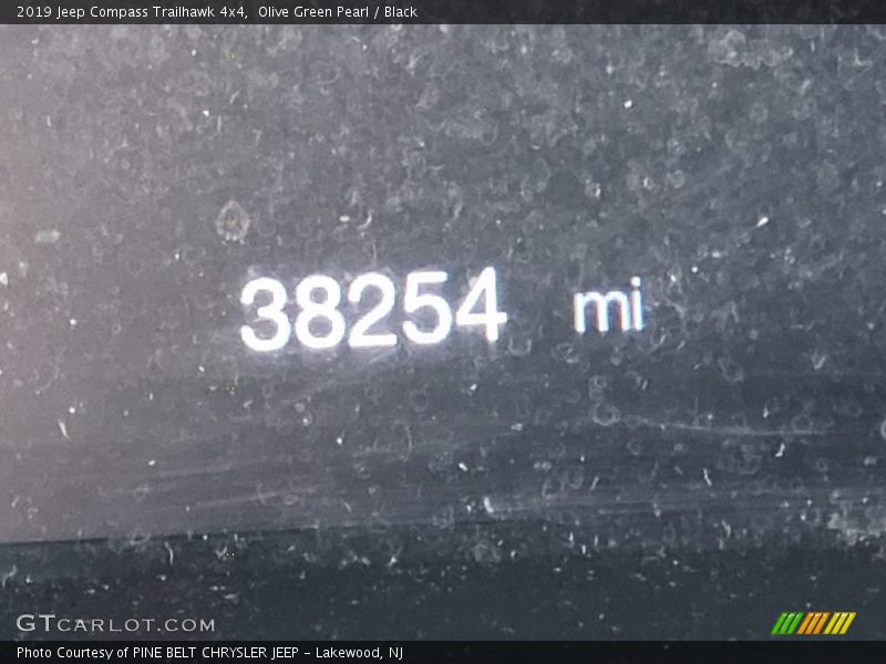 Olive Green Pearl / Black 2019 Jeep Compass Trailhawk 4x4