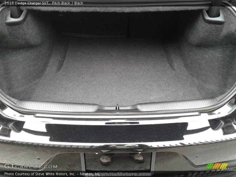 Pitch Black / Black 2018 Dodge Charger SXT