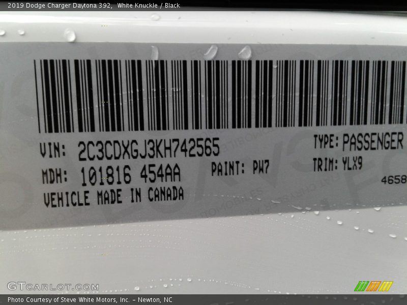 White Knuckle / Black 2019 Dodge Charger Daytona 392