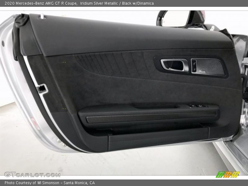 Door Panel of 2020 AMG GT R Coupe
