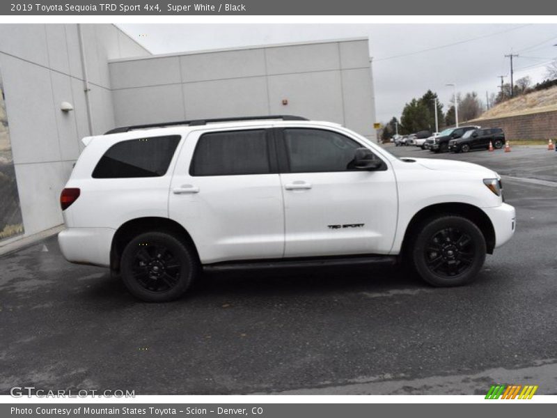 Super White / Black 2019 Toyota Sequoia TRD Sport 4x4