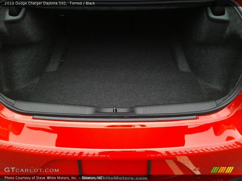 Torred / Black 2019 Dodge Charger Daytona 392