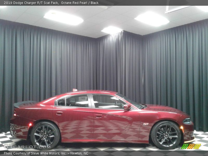 Octane Red Pearl / Black 2019 Dodge Charger R/T Scat Pack