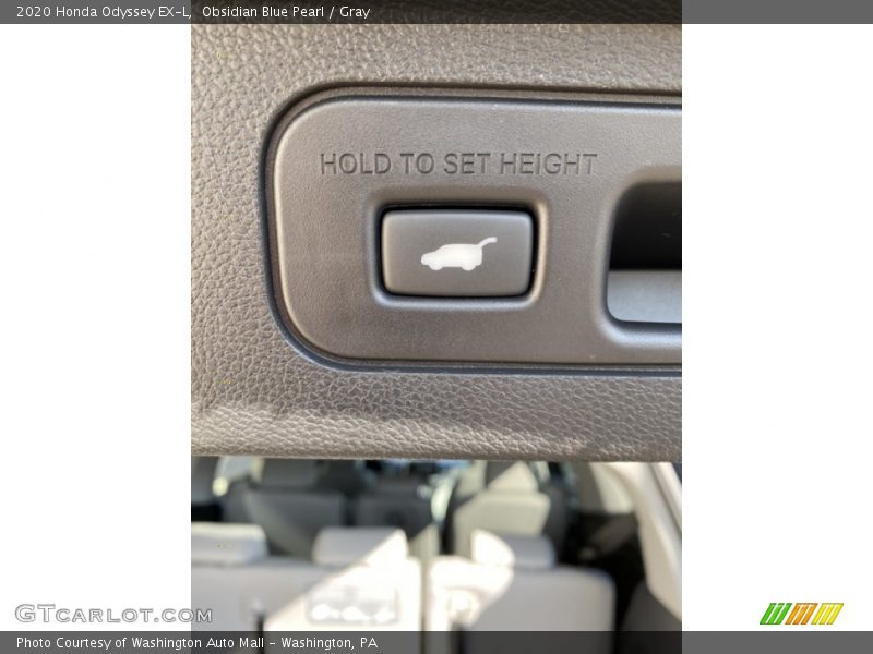 Obsidian Blue Pearl / Gray 2020 Honda Odyssey EX-L