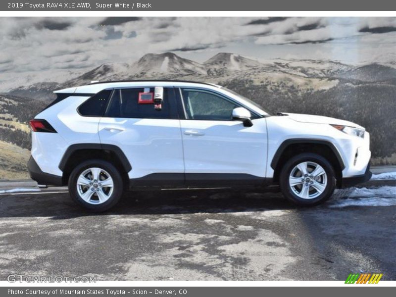 Super White / Black 2019 Toyota RAV4 XLE AWD
