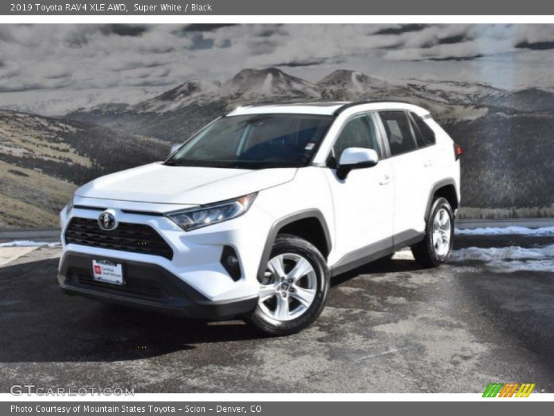 Super White / Black 2019 Toyota RAV4 XLE AWD