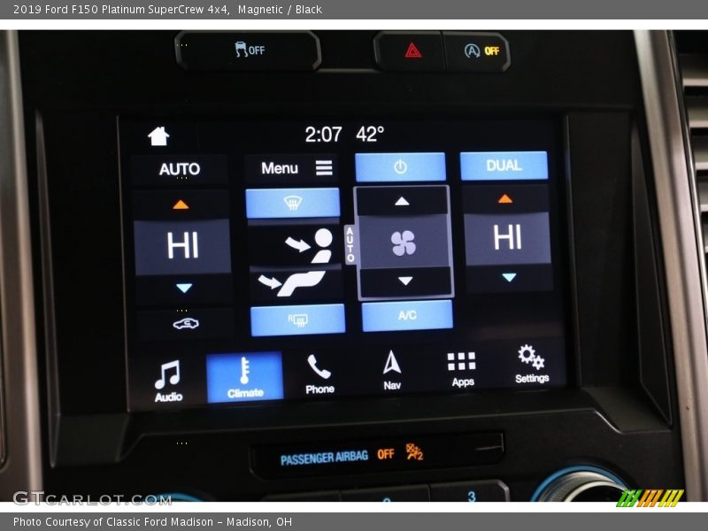 Magnetic / Black 2019 Ford F150 Platinum SuperCrew 4x4