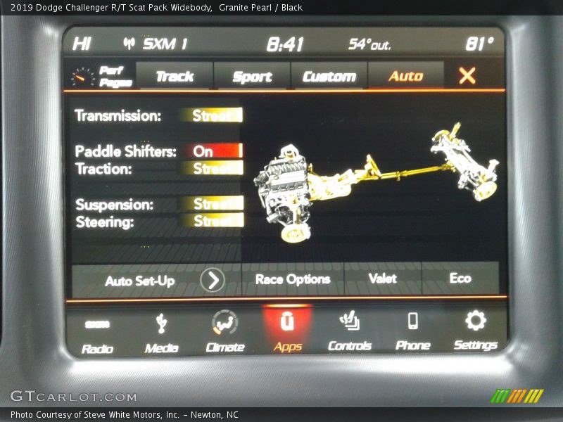 Granite Pearl / Black 2019 Dodge Challenger R/T Scat Pack Widebody