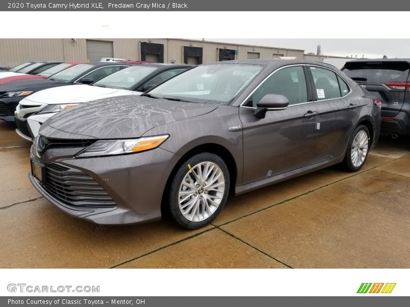 Predawn Gray Mica / Black 2020 Toyota Camry Hybrid XLE