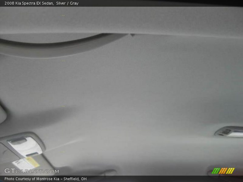 Silver / Gray 2008 Kia Spectra EX Sedan