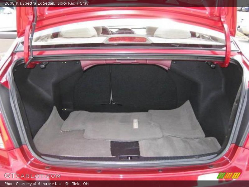 Spicy Red / Gray 2008 Kia Spectra EX Sedan