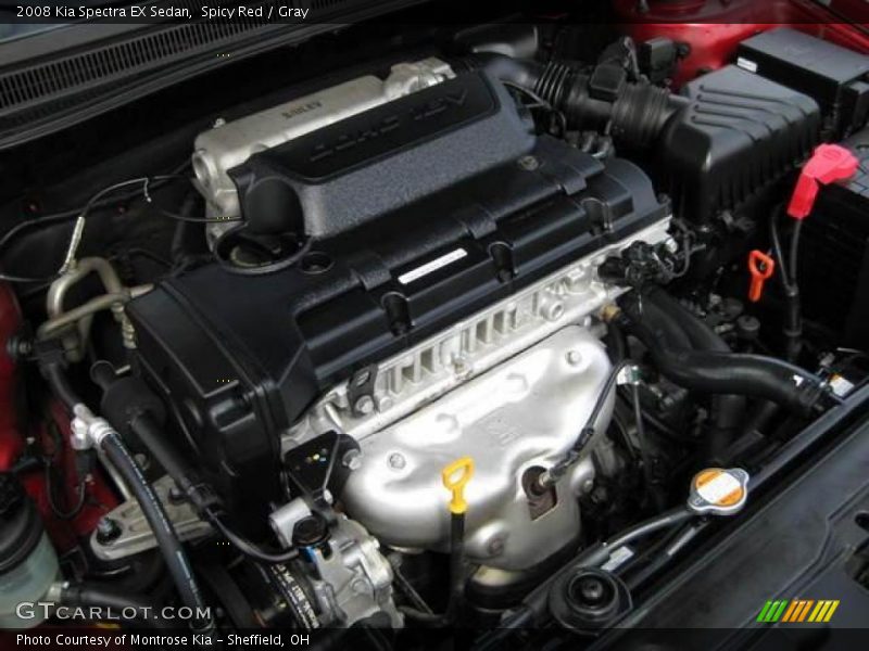 Spicy Red / Gray 2008 Kia Spectra EX Sedan