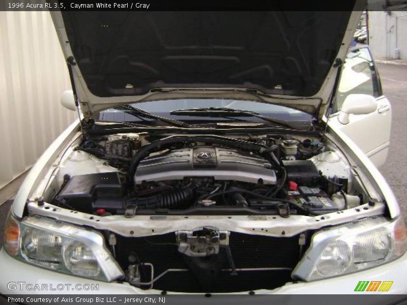 Cayman White Pearl / Gray 1996 Acura RL 3.5