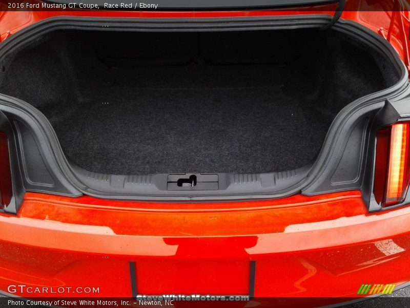  2016 Mustang GT Coupe Trunk