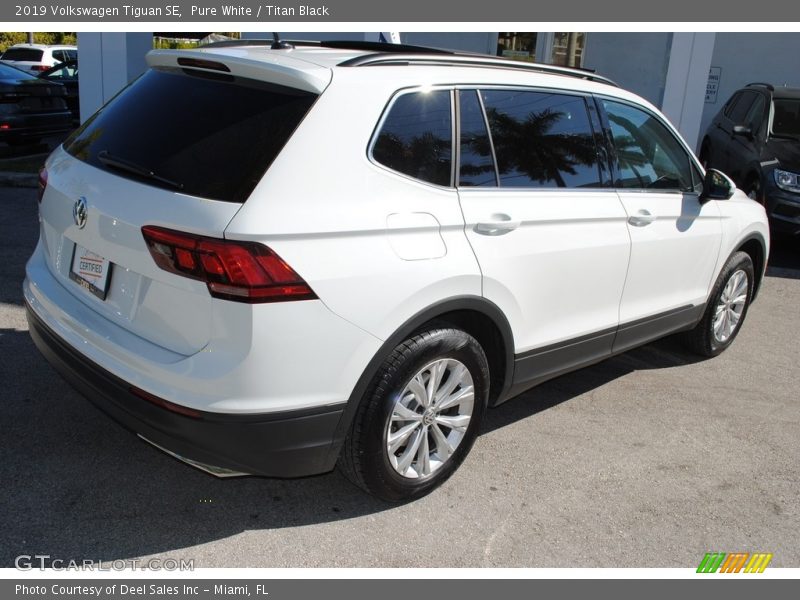 Pure White / Titan Black 2019 Volkswagen Tiguan SE