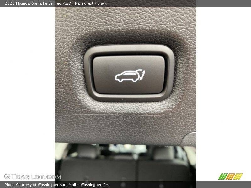 Rainforest / Black 2020 Hyundai Santa Fe Limited AWD