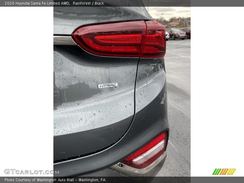 Rainforest / Black 2020 Hyundai Santa Fe Limited AWD