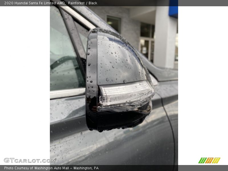 Rainforest / Black 2020 Hyundai Santa Fe Limited AWD