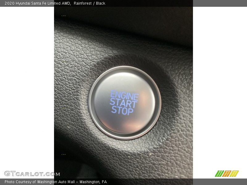Rainforest / Black 2020 Hyundai Santa Fe Limited AWD