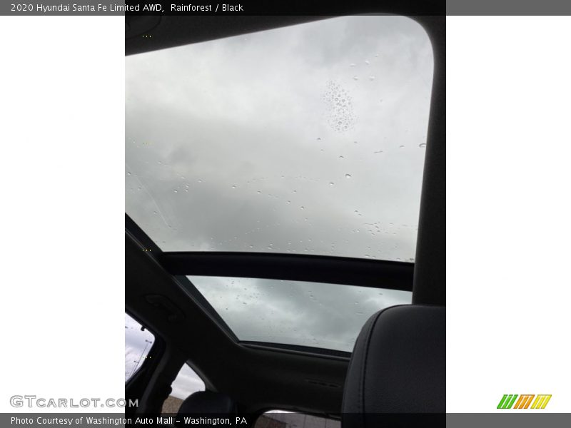 Rainforest / Black 2020 Hyundai Santa Fe Limited AWD