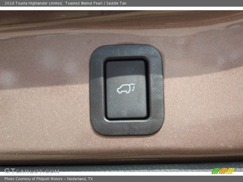 Toasted Walnut Pearl / Saddle Tan 2019 Toyota Highlander Limited