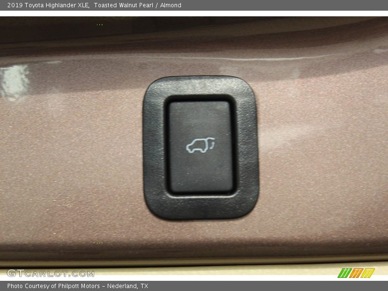 Toasted Walnut Pearl / Almond 2019 Toyota Highlander XLE