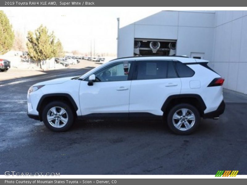 Super White / Black 2019 Toyota RAV4 XLE AWD