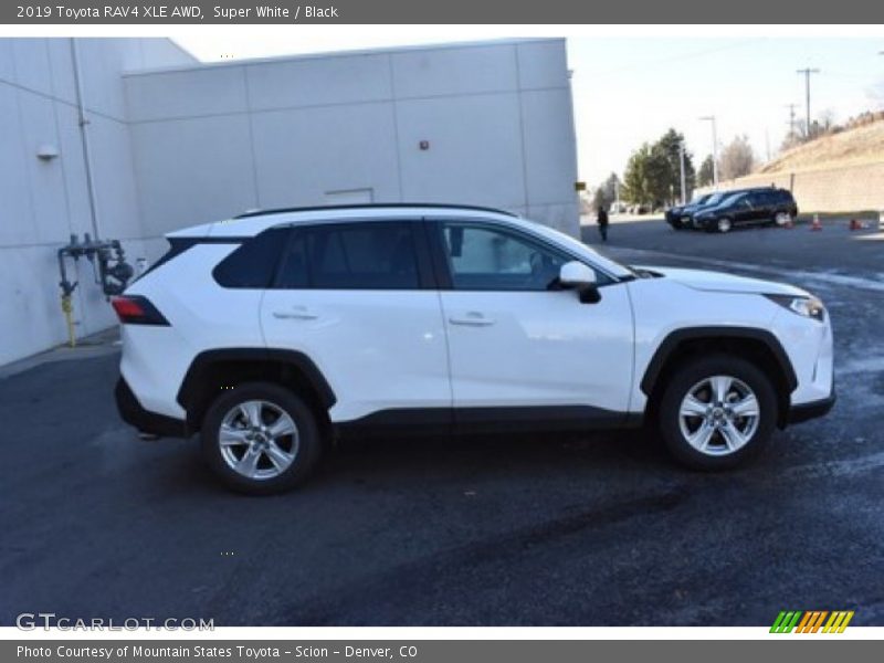 Super White / Black 2019 Toyota RAV4 XLE AWD