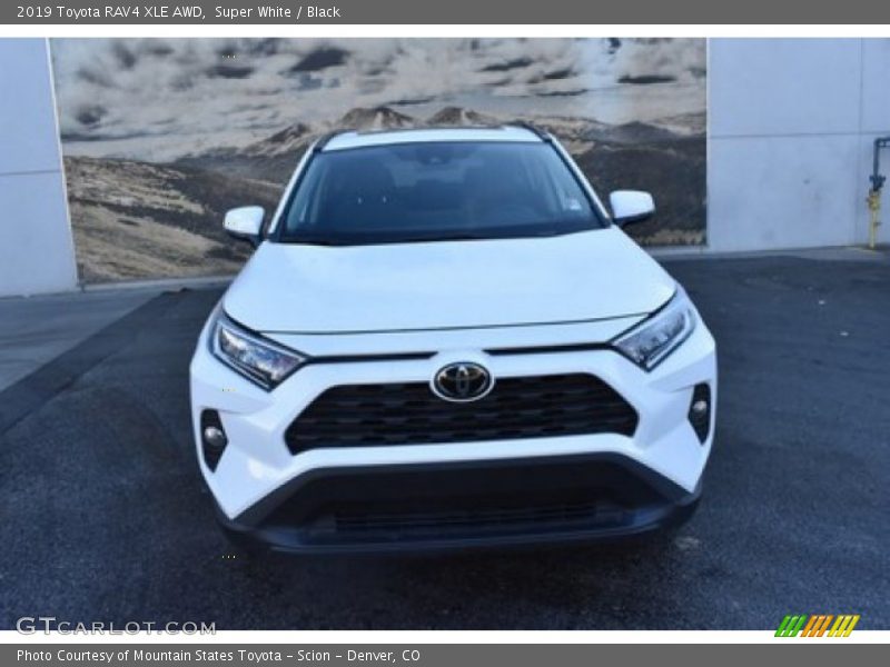 Super White / Black 2019 Toyota RAV4 XLE AWD