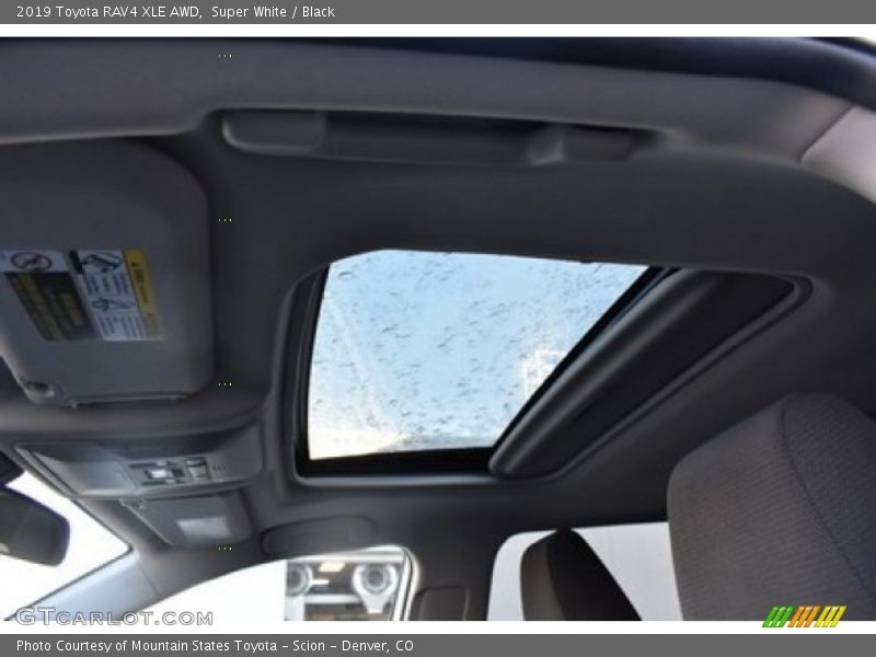 Super White / Black 2019 Toyota RAV4 XLE AWD