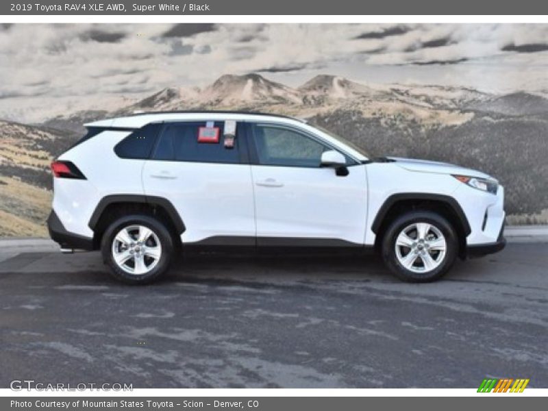 Super White / Black 2019 Toyota RAV4 XLE AWD
