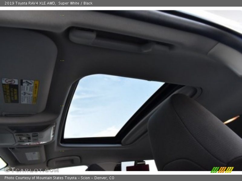 Super White / Black 2019 Toyota RAV4 XLE AWD