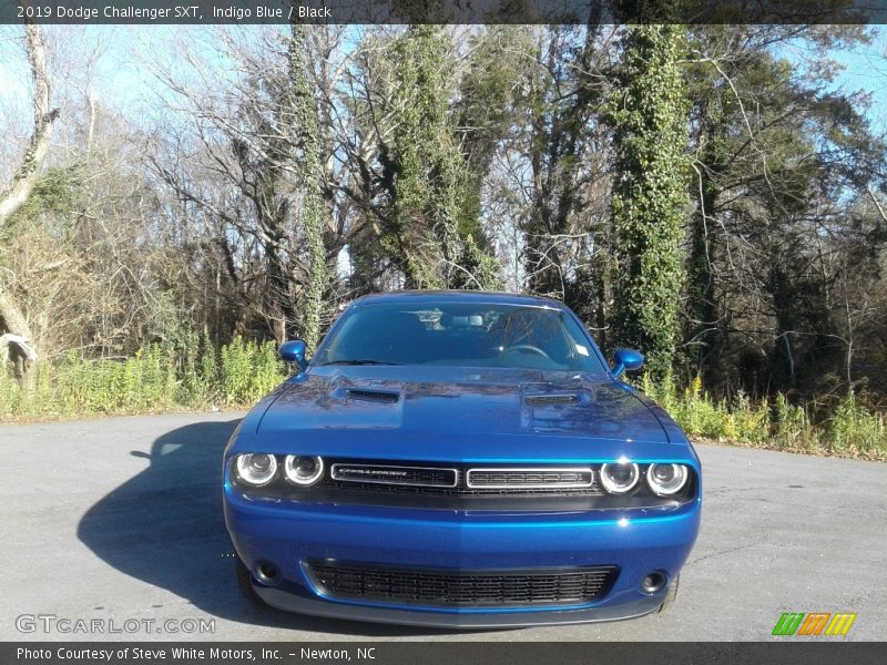 Indigo Blue / Black 2019 Dodge Challenger SXT