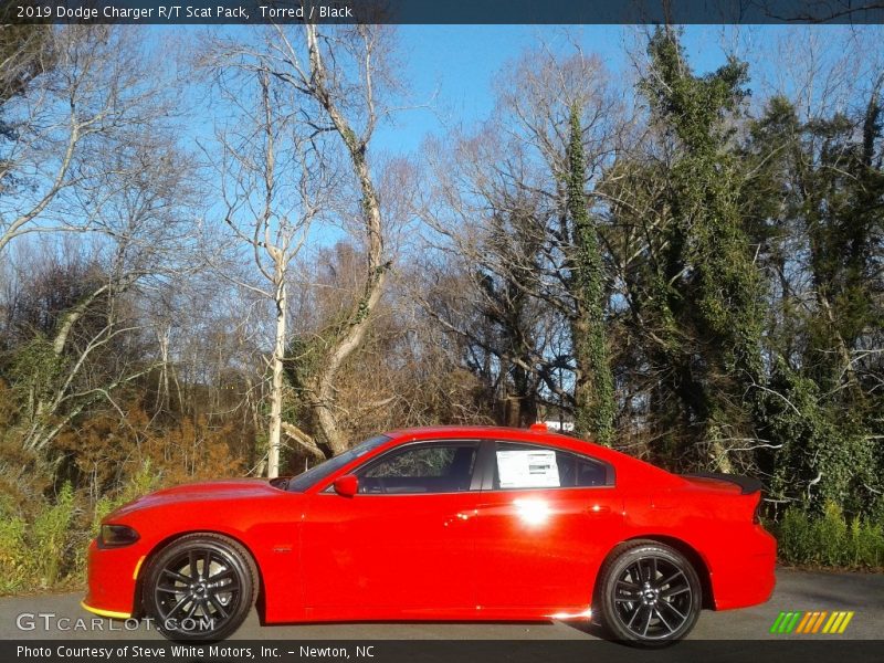 Torred / Black 2019 Dodge Charger R/T Scat Pack