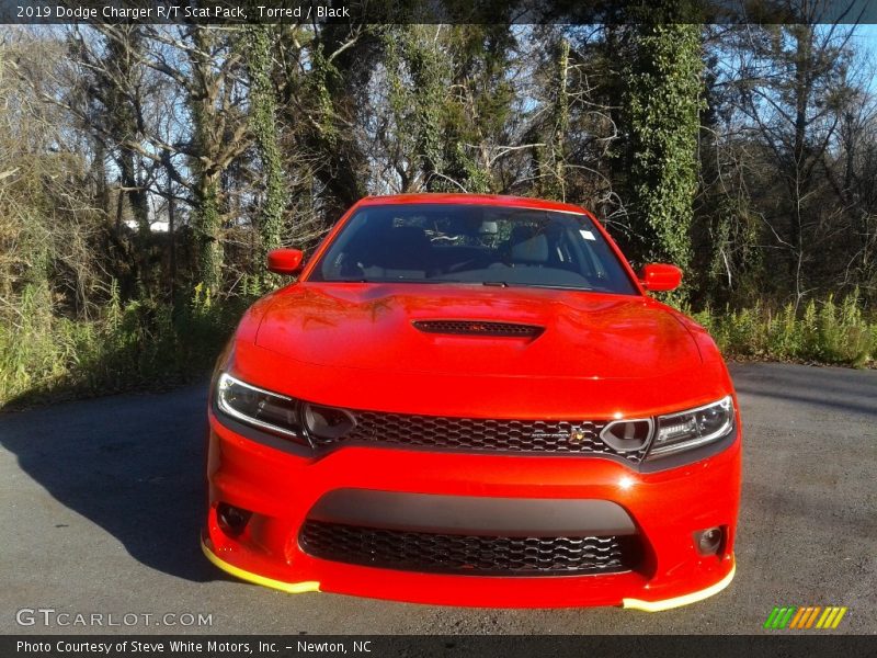 Torred / Black 2019 Dodge Charger R/T Scat Pack