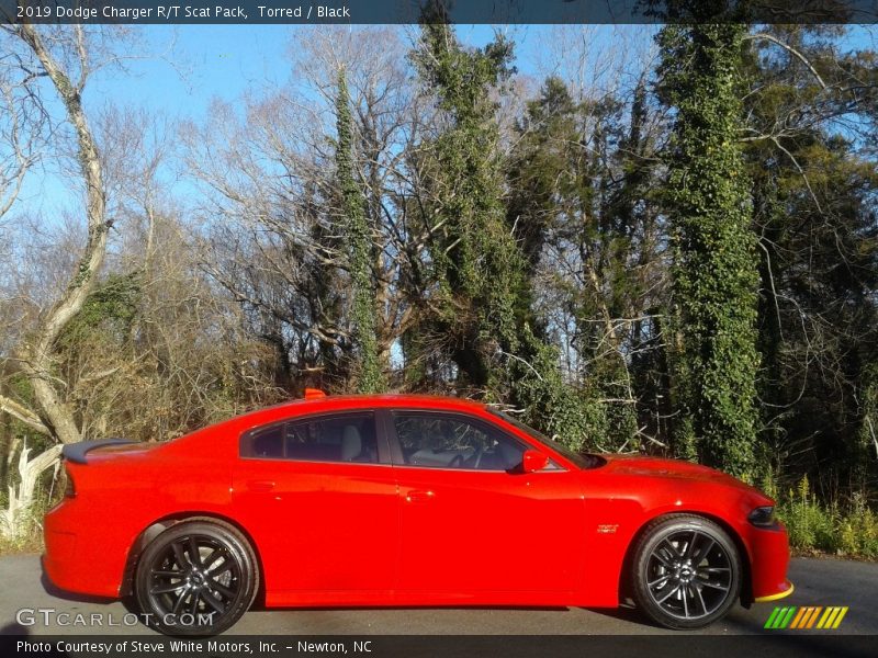 Torred / Black 2019 Dodge Charger R/T Scat Pack