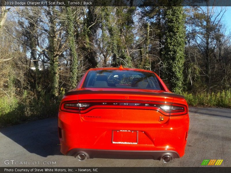 Torred / Black 2019 Dodge Charger R/T Scat Pack