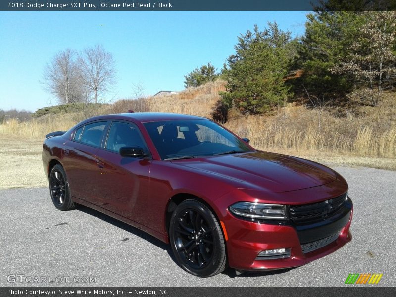 Octane Red Pearl / Black 2018 Dodge Charger SXT Plus