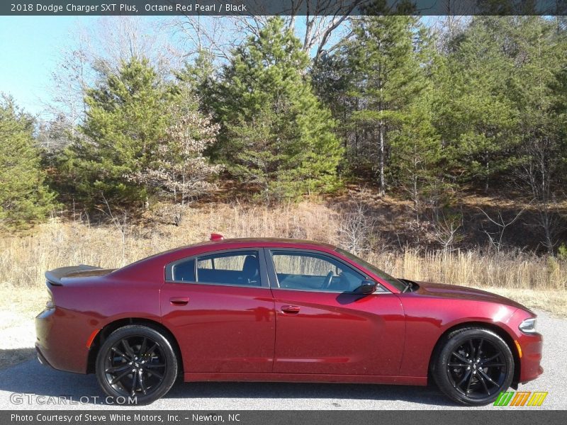 Octane Red Pearl / Black 2018 Dodge Charger SXT Plus