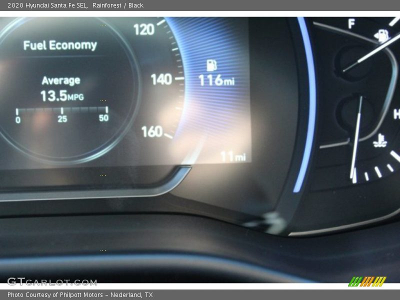 Rainforest / Black 2020 Hyundai Santa Fe SEL