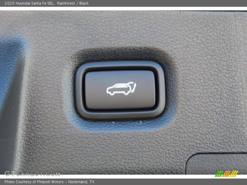 Rainforest / Black 2020 Hyundai Santa Fe SEL