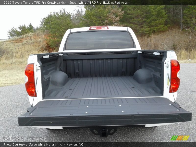 Super White / TRD Pro Black w/Red Accent 2019 Toyota Tundra TRD Pro CrewMax 4x4