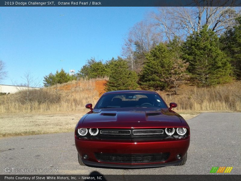 Octane Red Pearl / Black 2019 Dodge Challenger SXT