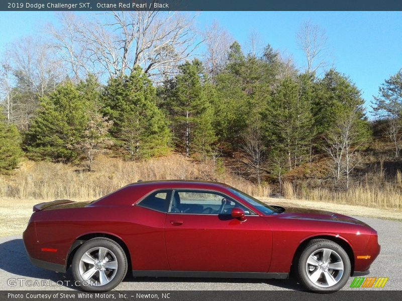 Octane Red Pearl / Black 2019 Dodge Challenger SXT
