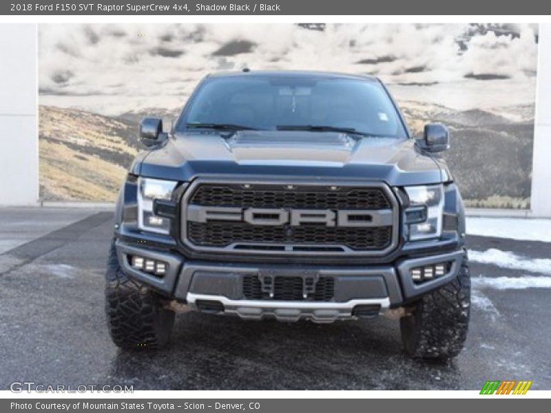 Shadow Black / Black 2018 Ford F150 SVT Raptor SuperCrew 4x4